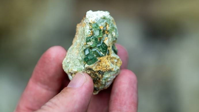 Hand holding demantoid garnet rough in matrix.