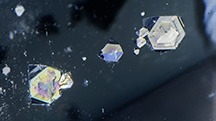 Footprint-shaped iron hydroxide deposit in quartz