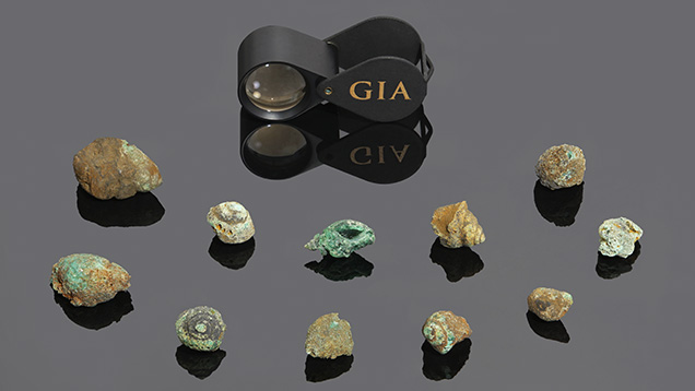Shell outlines with green emerald grains are clearly seen in these fossilized shells. 