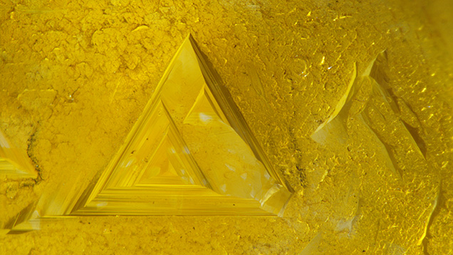 Trigons creating the impression of a thin and patchy “yellow skin” on a 0.98 ct rough diamond. Photomicrograph by Nicole Ahline; field of view 2.34 mm.