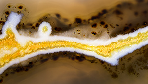 Micro-World