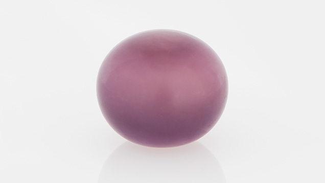 Purple quahog pearl