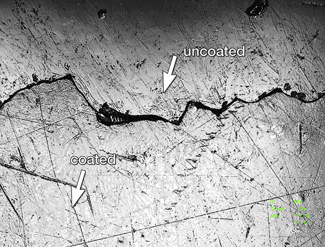 Figure 6. Laser scanning confocal microscopy showed that the loosely adhered coating had a thickness of nearly 16 μm thick. Photomicrograph by Jian Zhang; magnified 240×.
