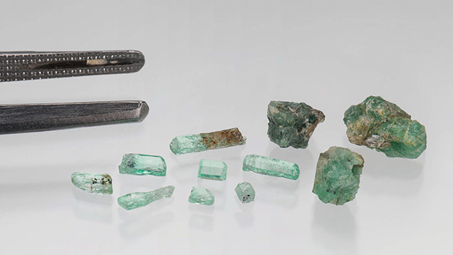 Figure 1. Eight Kazakhstani emeralds (left) and three Ukrainian beryl and emerald samples (right), with gemological tweezers shown for scale. The leftmost Ukrainian emerald has a chemistry between that of aquamarine and emerald. Photo by Emily Lane; courtesy of Gerhard Franz and Oleksii Vyshnevskyi.