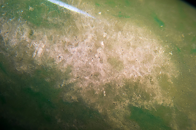 Microscopic observation revealed etching, pits, and fissures.