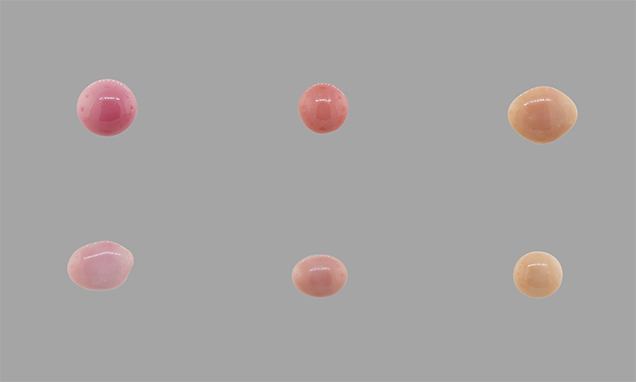 Six Queen conch pearls