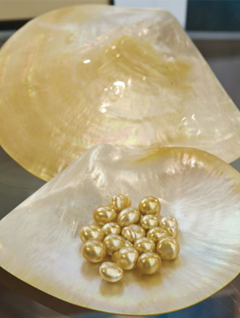 Pearls 