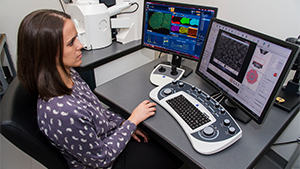 Researcher sitting at a desk operating a computer. Researcher sitting at a desk operating a computer.