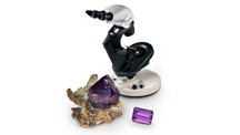 Passion Gemology