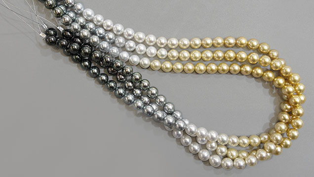Figure 4. This set of ombré pearl strands, made up of round Tahitian pearls with silver and gold South Sea pearls ranging from 10 to 10.4 mm, is also known as shikisai, which means “colors of four seasons” in Japanese. Photo by Mimi Travis; courtesy of Yen’s Jewelry & Accessories Inc. Figure 4. This set of ombré pearl strands, made up of round Tahitian pearls with silver and gold South Sea pearls ranging from 10 to 10.4 mm, is also known as shikisai, which means “colors of four seasons” in Japanese. Photo by Mimi Travis; courtesy of Yen’s Jewelry & Accessories Inc.