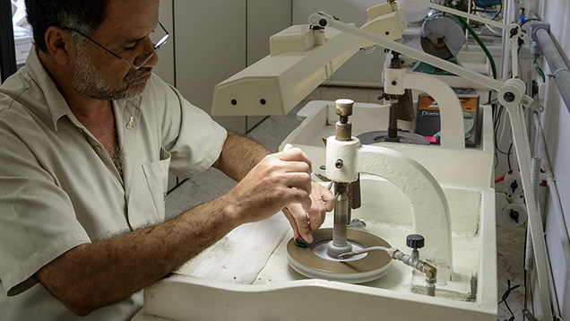 Master Cutter Master Cutter