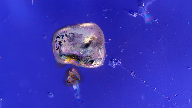 Figure 2. The dark violet background of the iolite shown through a polarizer creates a stunning backdrop for the large apatite and smaller monazite inclusions. The yellow radiation stains surrounding the monazite crystals are much thicker than the thin rim around the apatite. Photomicrograph by Tyler Smith; field of view 1.99 mm.