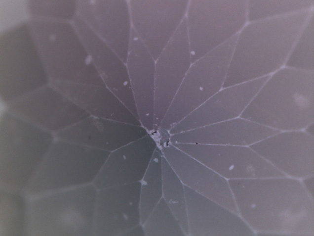 he coating on this tanzanite’s pavilion has been worn away along the facet junctions and in some small chipped areas, revealing the less-saturated violet color of the tanzanite underneath. Photomicrograph by Nathan Renfro; field of view 2.90 mm.