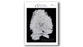{Download this issue} - image