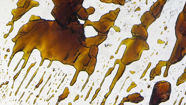 Figure 2. A network of rounded and stretched crystals, islands, and puddles of sphalerite that look as if they were once in a liquid state. Photomicrograph by Nathan Renfro; field of view 9.92 mm.