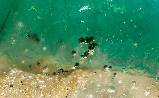 Figure 2. Cluster of pyrite crystals in emerald and matrix. Photomicrograph by Jessa Rizzo; field of view 1.99 mm. Figure 2. Cluster of pyrite crystals in emerald and matrix. Photomicrograph by Jessa Rizzo; field of view 1.99 mm.