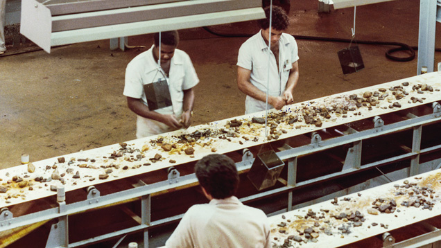 1981 Sorting Process 1981 Sorting Process
