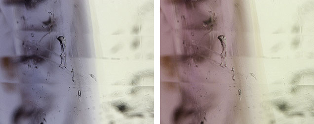 Figure 2. Two-phase fluid inclusions in the bicolor chrysoberyl. Photomicrographs by Hikaru Sato; field of view 2.00 mm.