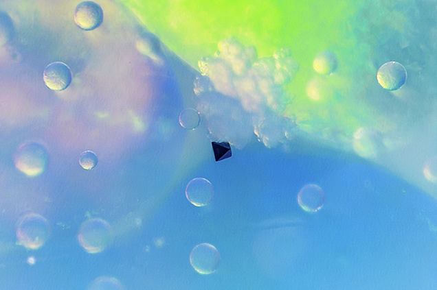 Pyrite crystal among aragonite inclusions.