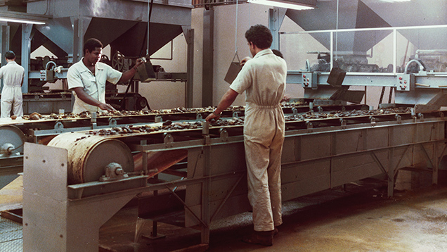 Hand Sorting Hand Sorting
