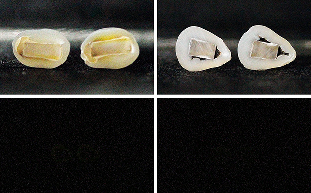 Cross sections of two “box bead” cultured pearl samples with their inert reactions under X-ray fluorescence. Cross sections of two “box bead” cultured pearl samples with their inert reactions under X-ray fluorescence.