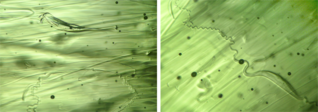 Bubbles and inclusions in natural moldavite