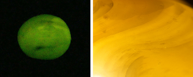 Figure 3. Left: Pearl 1 revealed a strong yellowish green reaction under optical X-ray fluorescence. Right: Undulating shell banding visible within the sample’s shell bead nucleus using transmitted light. Photomicrograph by Nishka Vaz; field of view 6.75 mm.