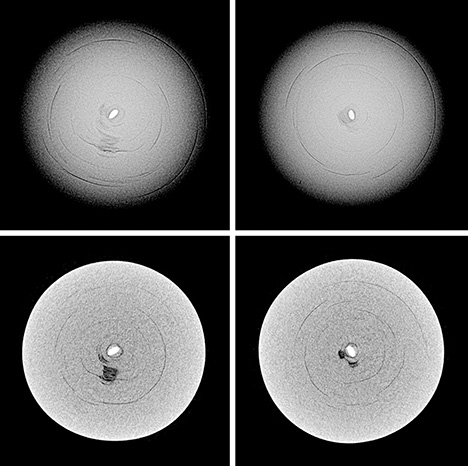 Figure 2. Top: RTX images revealing the entire volume of the pearl’s internal structure in two different directions. Bottom: Slightly enlarged μ-CT scans showing the radiopacity of the core more clearly. The darker areas are organic-rich. Figure 2. Top: RTX images revealing the entire volume of the pearl’s internal structure in two different directions. Bottom: Slightly enlarged μ-CT scans showing the radiopacity of the core more clearly. The darker areas are organic-rich.