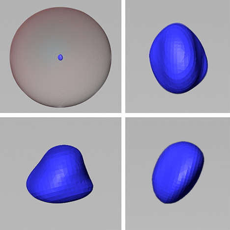 Figure 4. The 3D models generated using μ-CT scans show the blue area as the metallic core, while the surrounding area represents the pearl’s growth structure. Figure 4. The 3D models generated using μ-CT scans show the blue area as the metallic core, while the surrounding area represents the pearl’s growth structure.