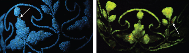 Figure 2. Left: Long-wave ultraviolet reaction displaying a greenish yellow reaction and an occasional yellowish brown reaction. Right: Freshwater pearls emitting a strong yellowish green XRF reaction; some orangy red fluorescence suggesting vaterite. Figure 2. Left: Long-wave ultraviolet reaction displaying a greenish yellow reaction and an occasional yellowish brown reaction. Right: Freshwater pearls emitting a strong yellowish green XRF reaction; some orangy red fluorescence suggesting vaterite.