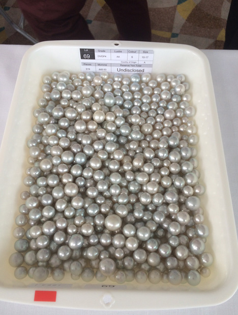 9月に香港で開かれたPaspaley Pearl Auction(パスパレイ パールオークション)で販売された、重量448.6もんめ(1もんめ=3.75グラム)の519個の南洋養殖真珠のロット。 写真:Russell Shor / GIA 9月に香港で開かれたPaspaley Pearl Auction(パスパレイ パールオークション)で販売された、重量448.6もんめ(1もんめ=3.75グラム)の519個の南洋養殖真珠のロット。 写真:Russell Shor / GIA
