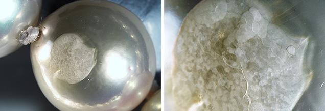 Many of the pearls exhibited whitish surface patches.