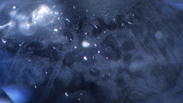 Circular inclusions resembling corkscrews Circular inclusions resembling corkscrews