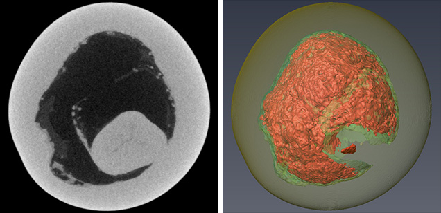 2-D (left) and 3-D (right) μ-CT slices of a pearl 2-D (left) and 3-D (right) μ-CT slices of a pearl