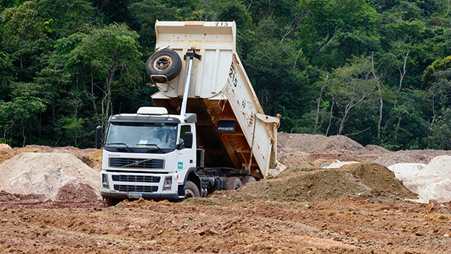 Reforestation Reforestation