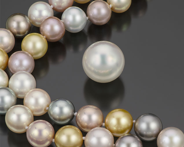 Figure 5. Mixed strand of 79 pearls ranging from 11.8 to 14.8 mm, consisting of pink Chinese freshwater, black Tahitian, golden Indonesian, and white Australian bead cultured pearls. Also pictured is an exceptionally large 20.4 mm South Sea bead cultured pearl, weighing 12 g. Photo by Robert Weldon; courtesy of Yoko London. Figure 5. Mixed strand of 79 pearls ranging from 11.8 to 14.8 mm, consisting of pink Chinese freshwater, black Tahitian, golden Indonesian, and white Australian bead cultured pearls. Also pictured is an exceptionally large 20.4 mm South Sea bead cultured pearl, weighing 12 g. Photo by Robert Weldon; courtesy of Yoko London.
