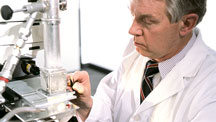 Shigley Microscope Research Career Opp Graphic