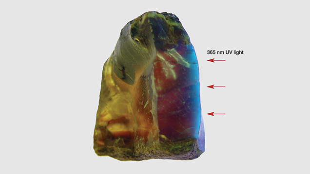 Lateral view of blue amber fluorescence Lateral view of blue amber fluorescence