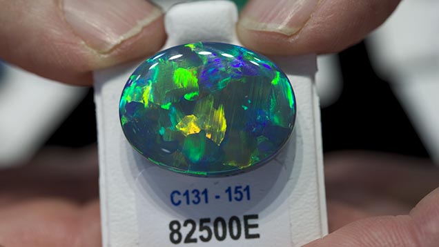 24 Carat Black Opal 24 Carat Black Opal