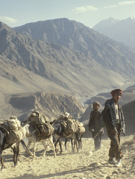 Lapis Lazuli. The miners’ supplies have to be brought into the desolate area by mule train. - Gary Bowersox