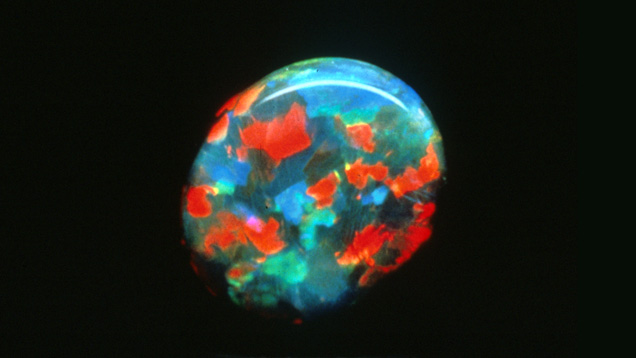 Black Opal with a Harlequin Pattern Black Opal with a Harlequin Pattern
