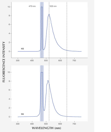Fluorescence spectra Fluorescence spectra