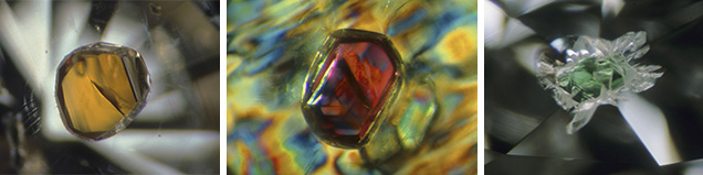 IMG - Shirey 157485 636x159 IMG - Shirey 157485 636x159