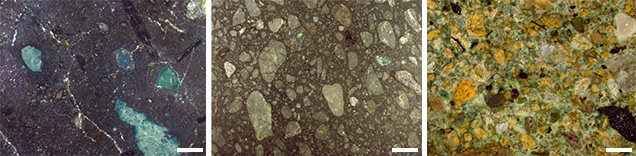IMG - WN13 Shirey 157487 636x156 IMG - WN13 Shirey 157487 636x156