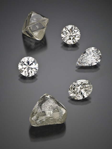 IMG - WN13 Shirey 157490 468x620 IMG - WN13 Shirey 157490 468x620