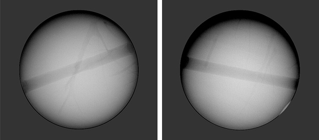 Shell pearl showing banding, cracks Shell pearl showing banding, cracks