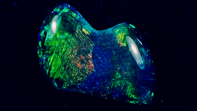 Black Opal Black Opal