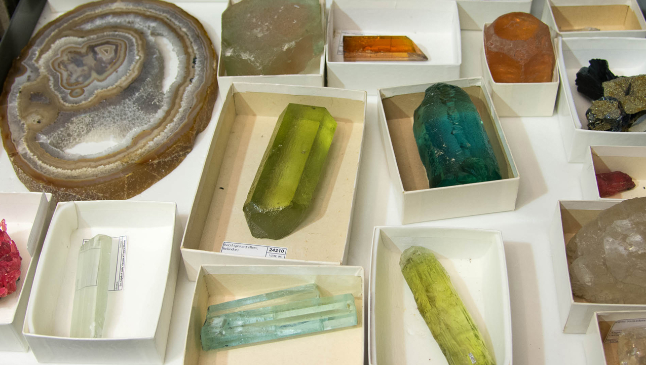 Savinar Collection Specimens