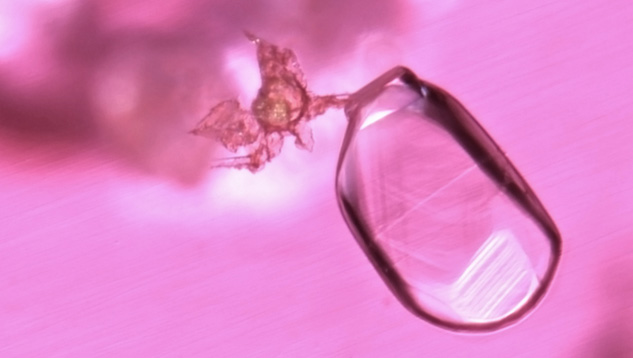 Amphibole and Mica Amphibole and Mica