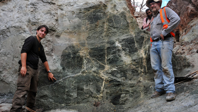 MRM Exploration MRM Exploration